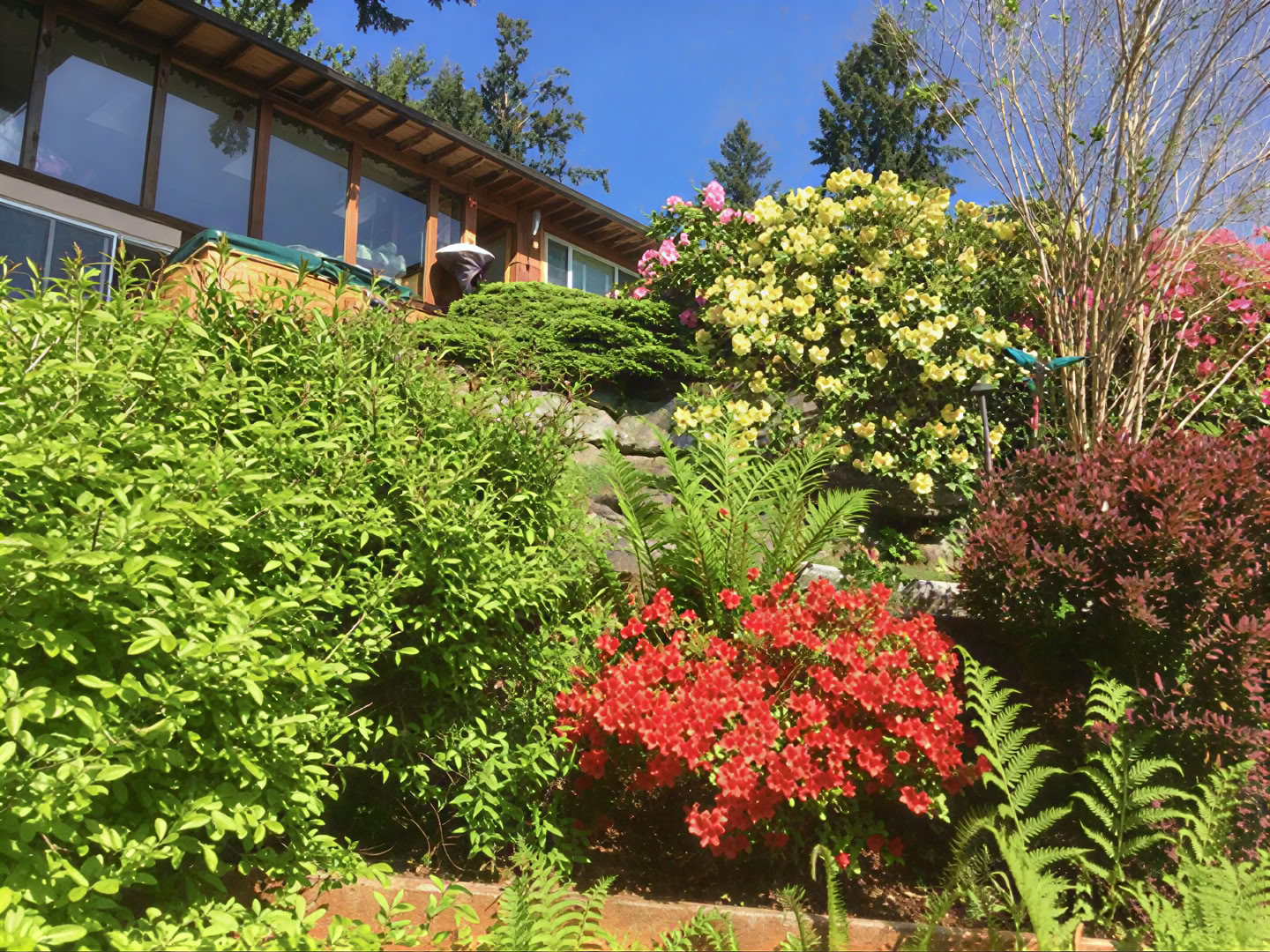 Cottage Lake Bed and Breakfast Retraite Spirituelle