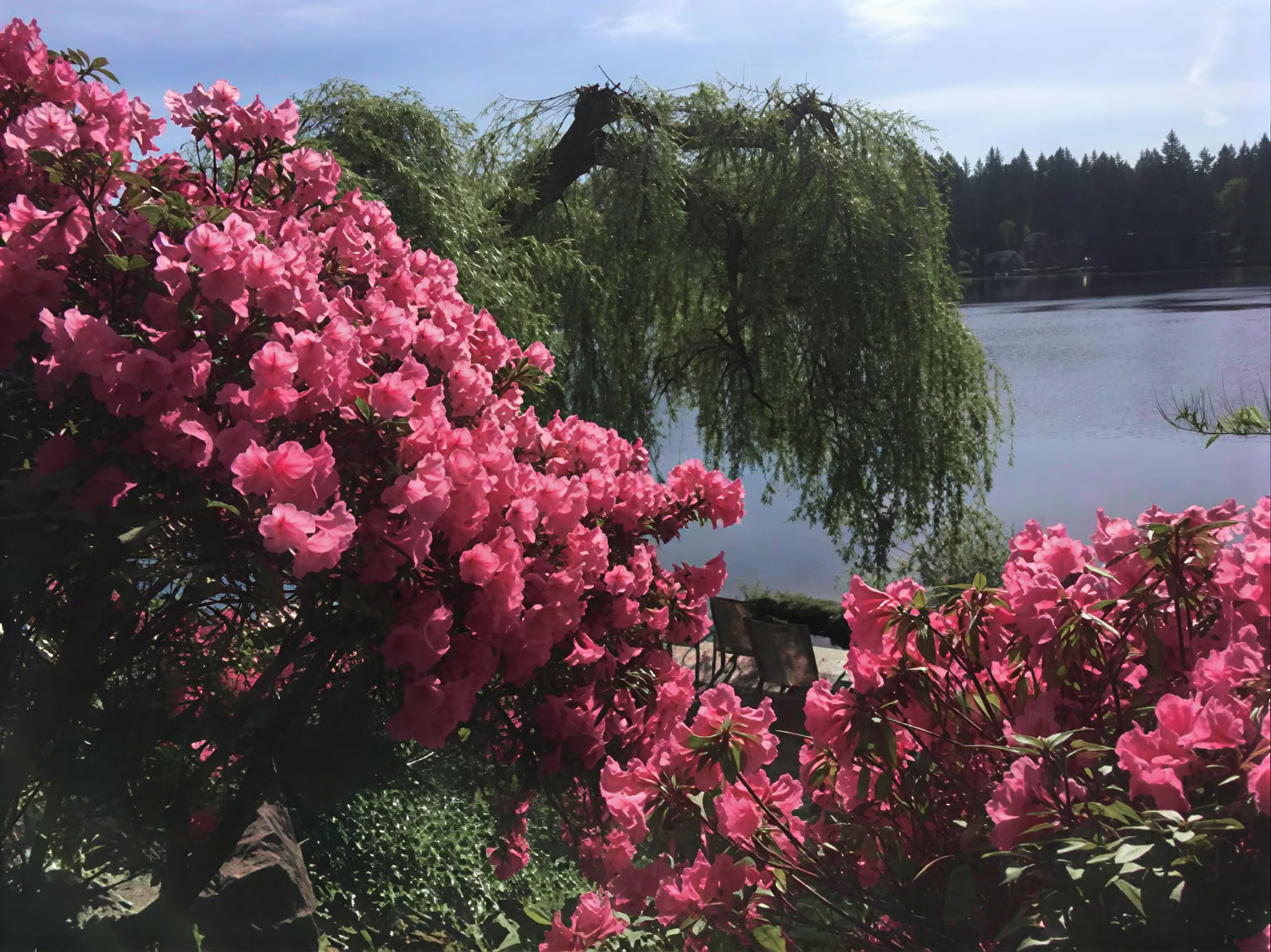 Cottage Lake Bed and Breakfast Retraite Spirituelle
