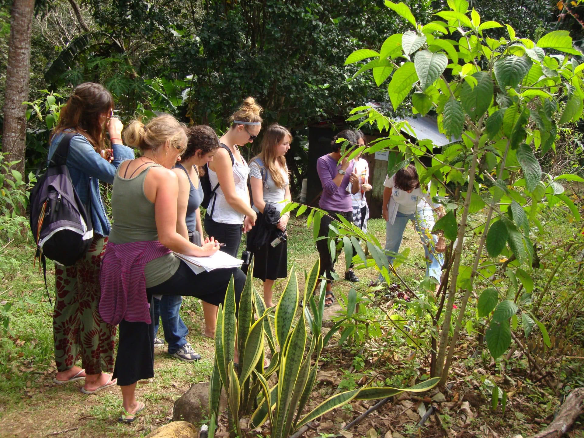 Herbal Medicine & Yoga retraite: NOUVELLE DATE 5-10 sept. 2026