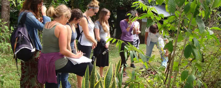 Herbal Medicine & Yoga retraite: NOUVELLE DATE 5-10 sept. 2026