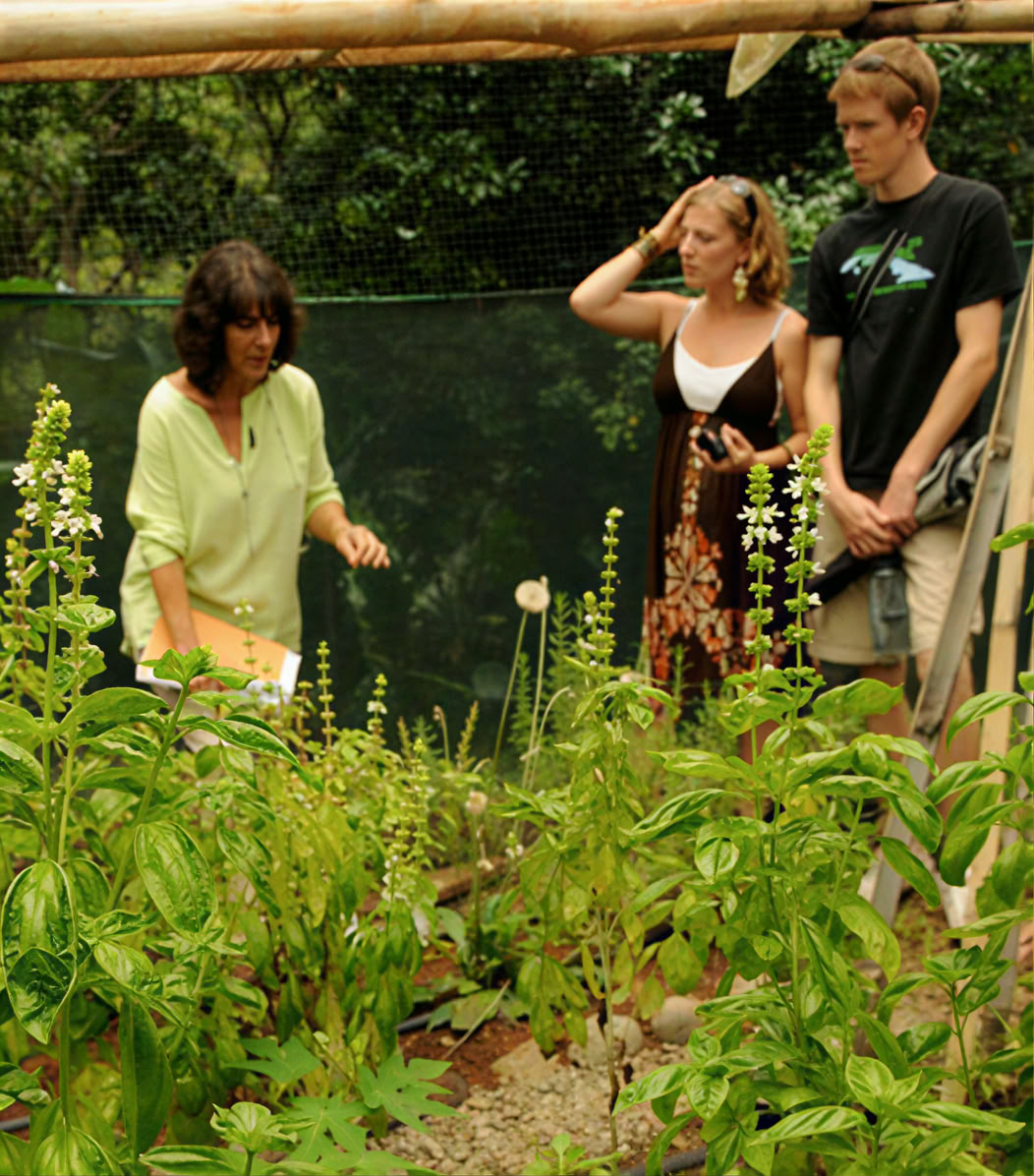 Consultation nutritionnelle et à base de plantes