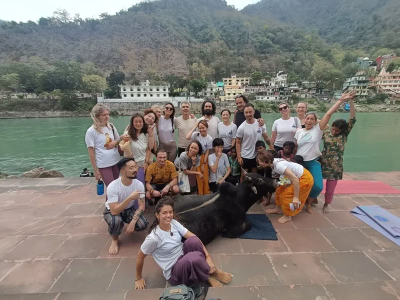 Formation de professeurs de yoga de 100 heures à Rishikesh, en Inde