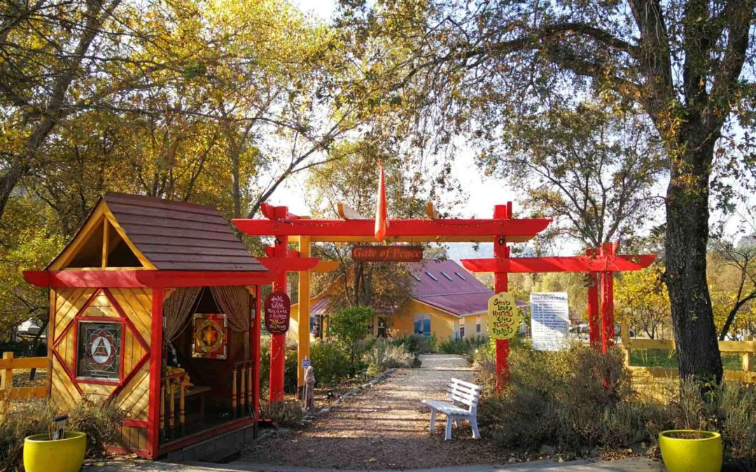 Ashram Sacred Tour – Introduction au yoga Sivananda