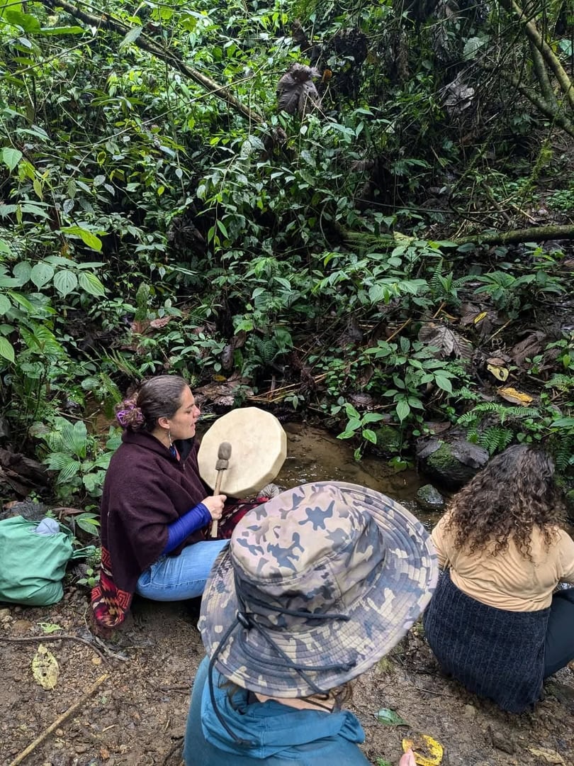 Retraite de 3 jours - San Pedro & Ayahuasca