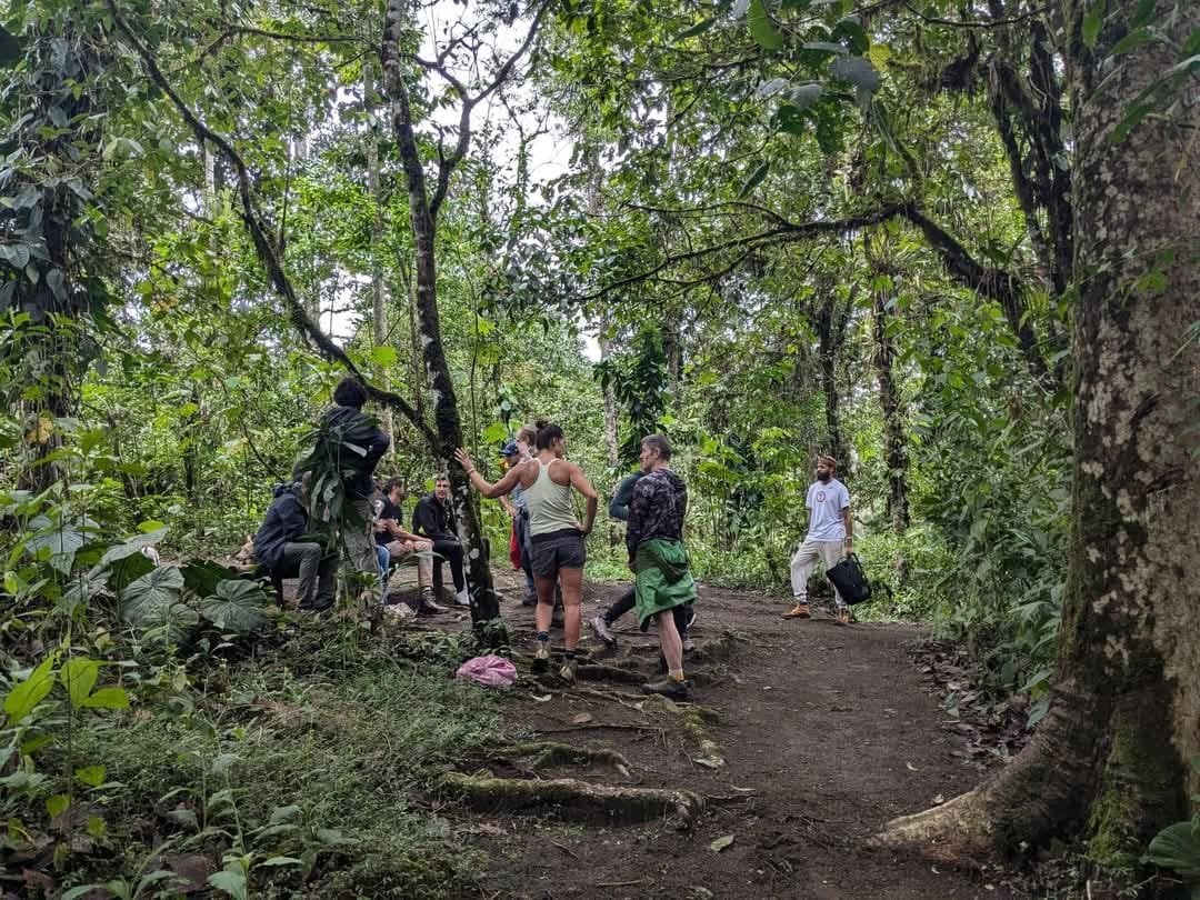 Retraite de 3 jours - San Pedro & Ayahuasca