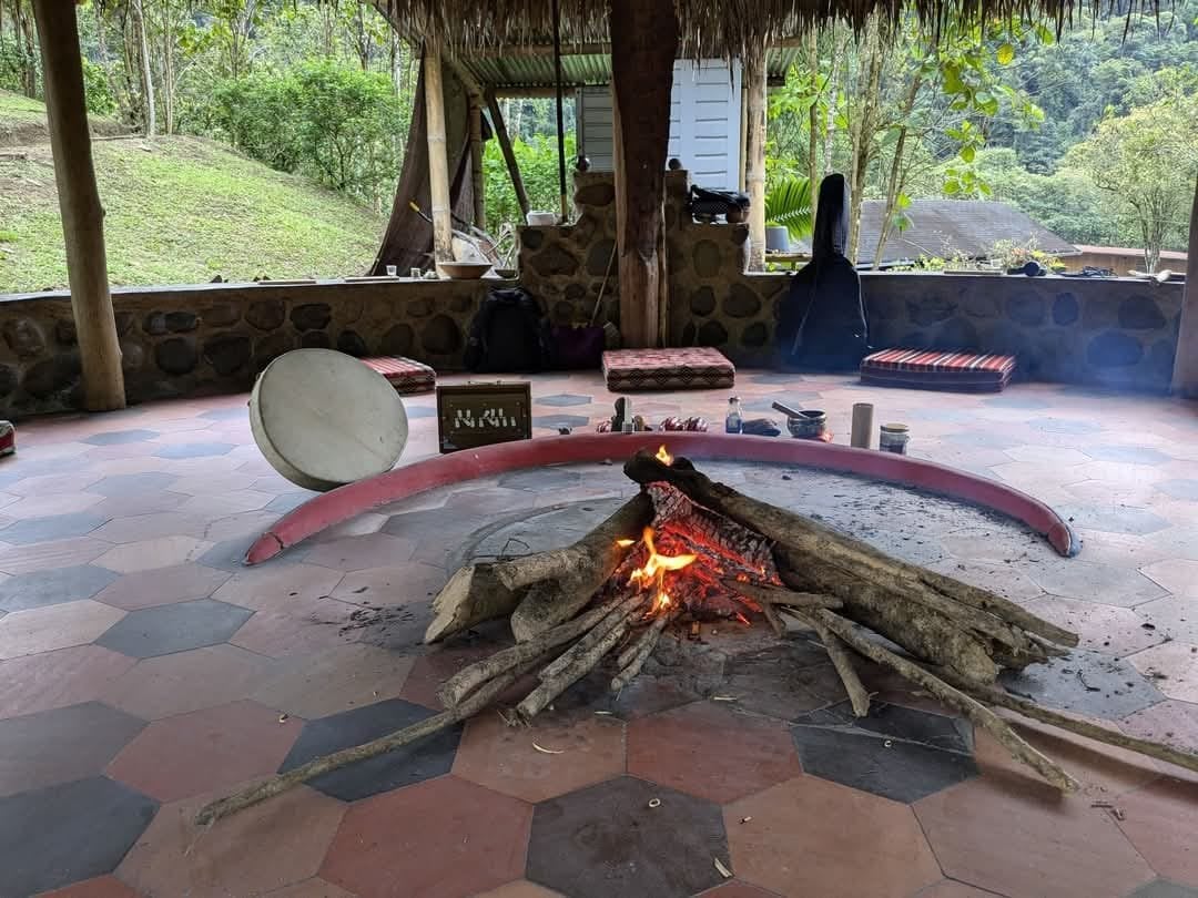 Cérémonie d'ayahuasca en journée à la réserve naturelle Hayulima