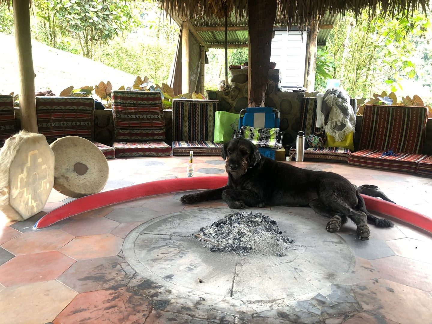 Cérémonie d'ayahuasca en journée à la réserve naturelle Hayulima