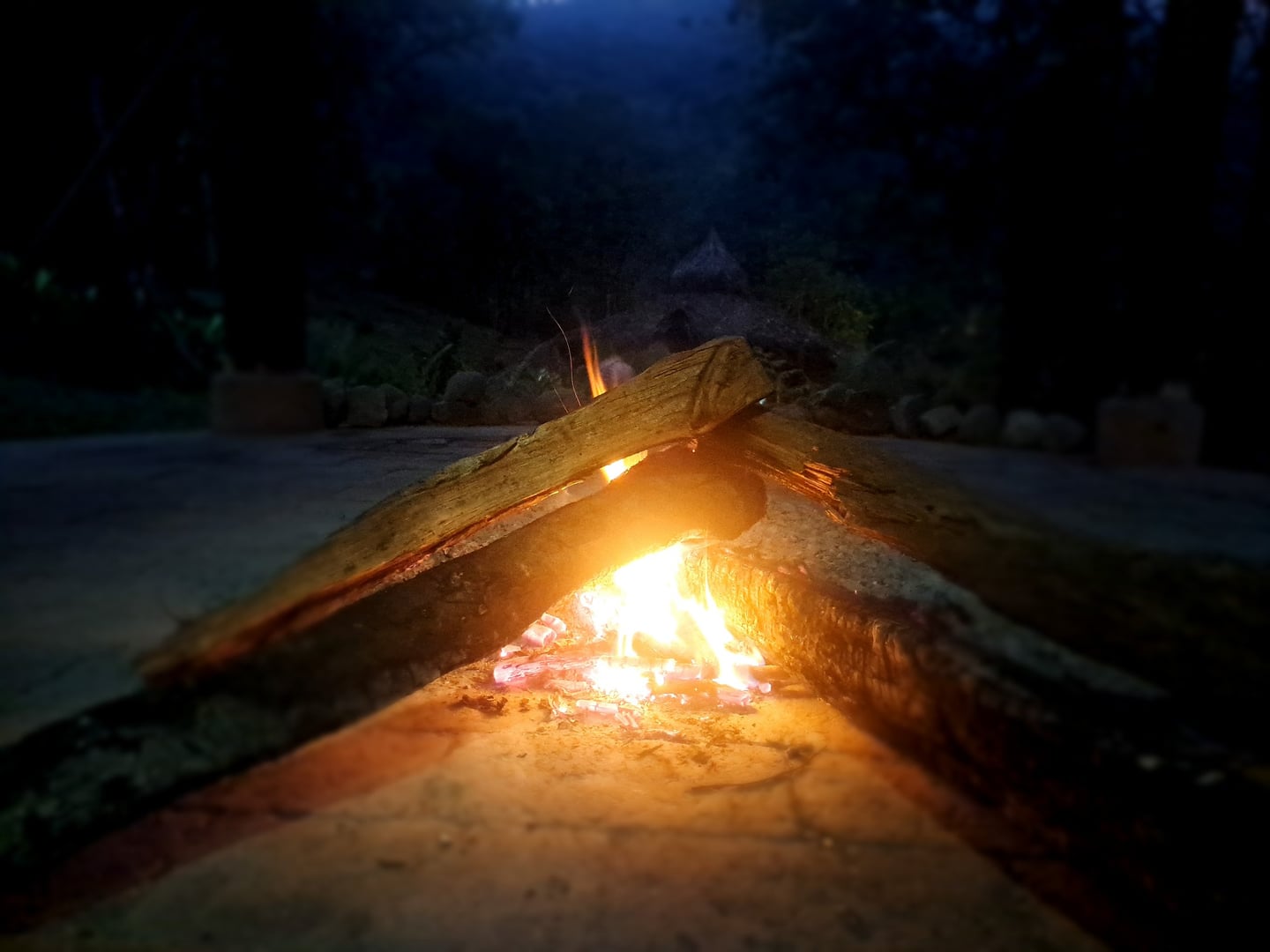 Cérémonie d'ayahuasca en journée à la réserve naturelle Hayulima