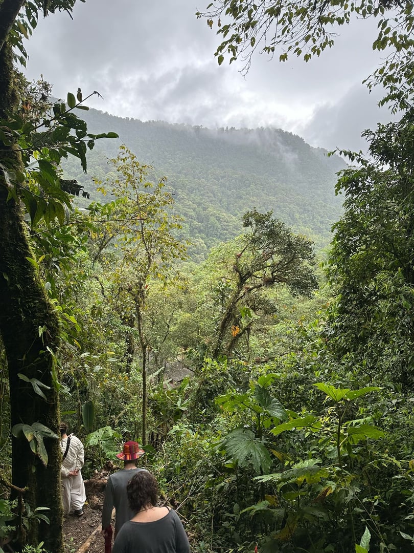 Cérémonie d'ayahuasca en journée à la réserve naturelle Hayulima
