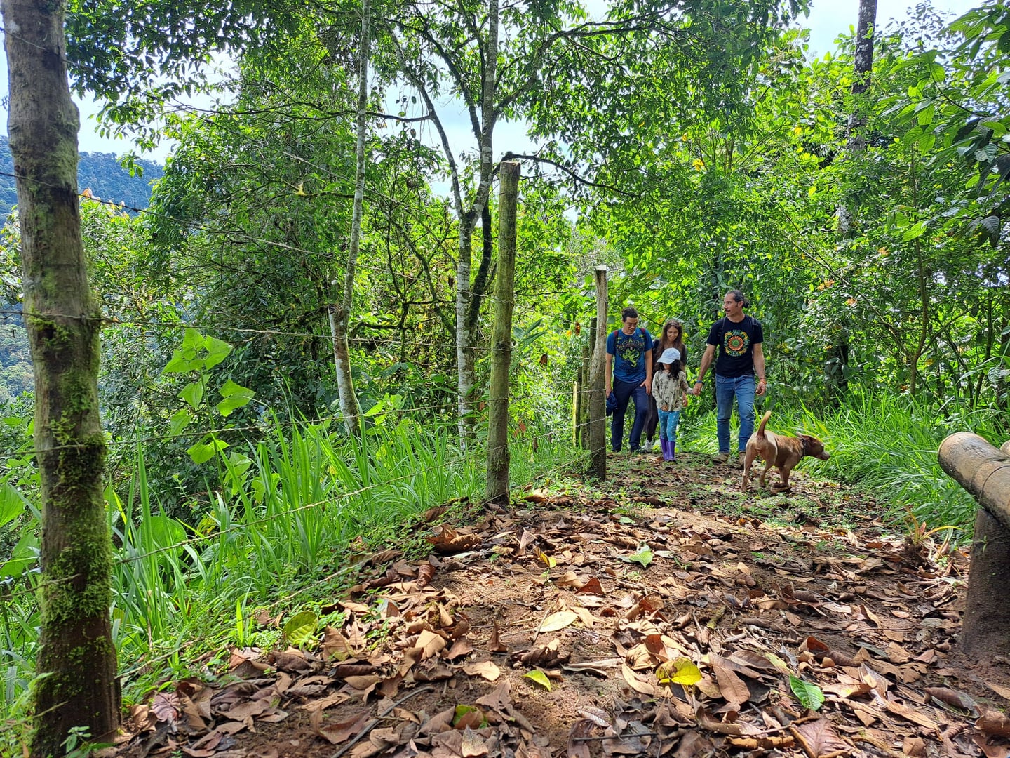 Retraite de 10 jours dans la réserve naturelle de Hayulima