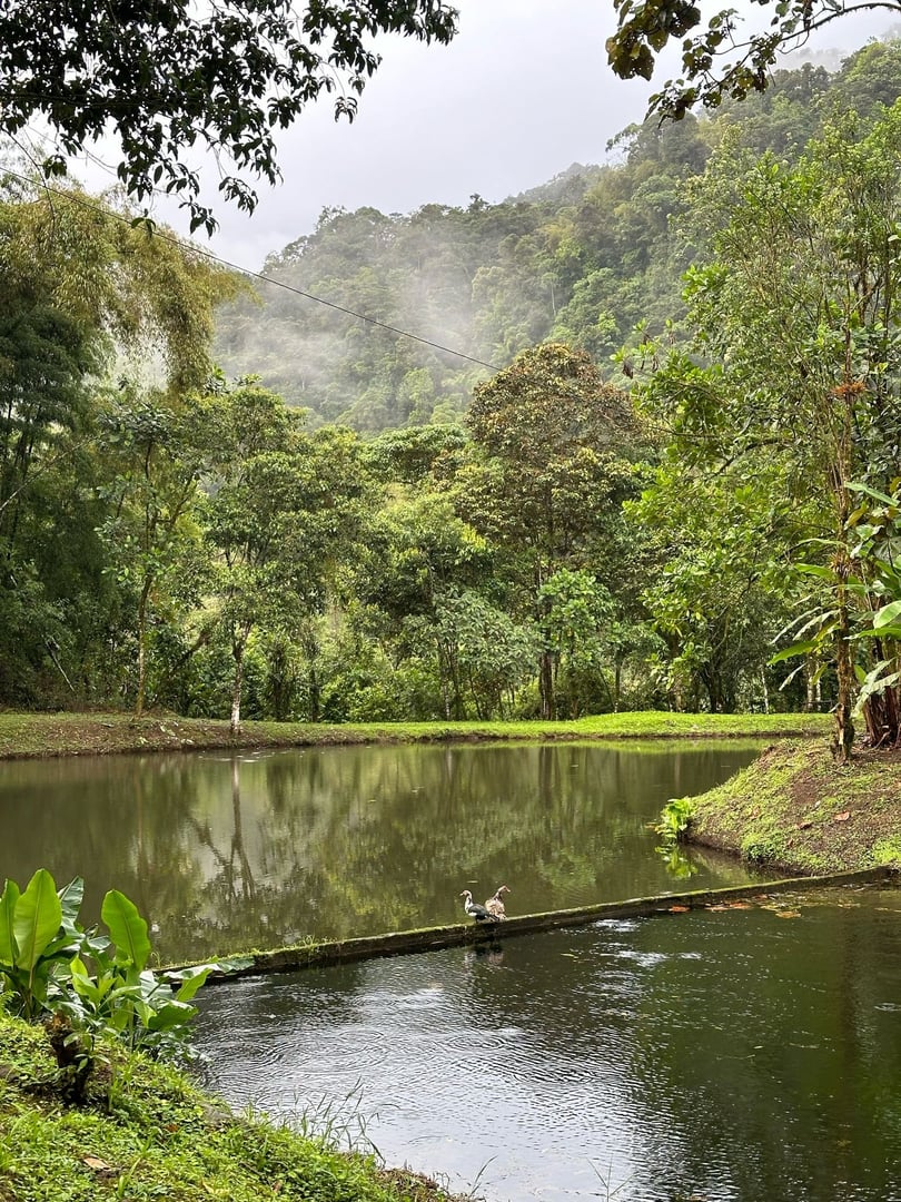 Retraite de 10 jours dans la réserve naturelle de Hayulima