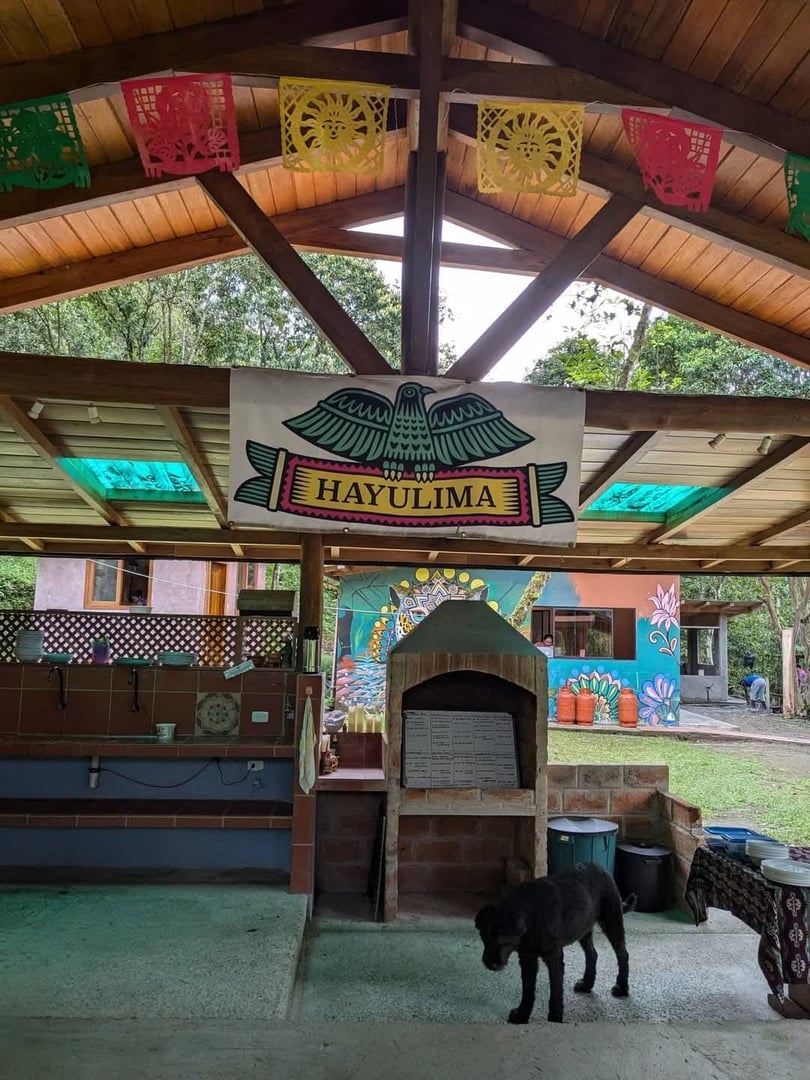 3 jours – San Pedro et Ayahuasca – Voyage du week-end