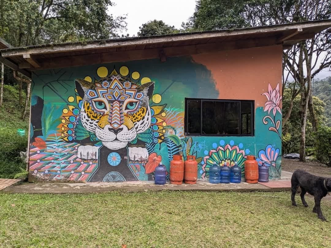 3 jours – San Pedro et Ayahuasca – Voyage du week-end