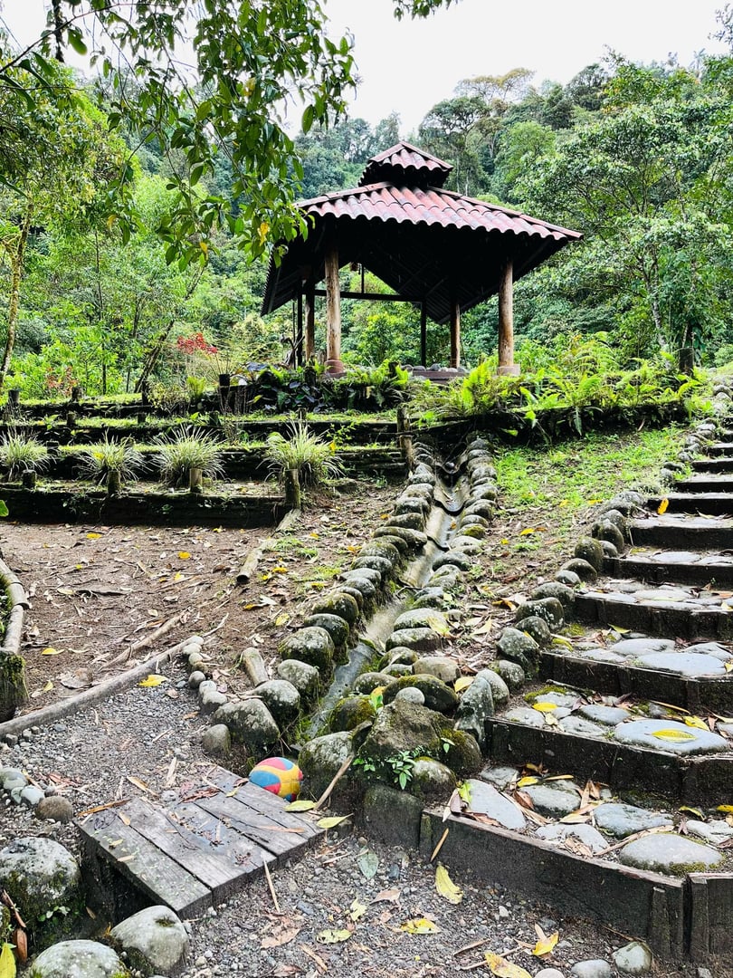 3 jours – San Pedro et Ayahuasca – Voyage du week-end