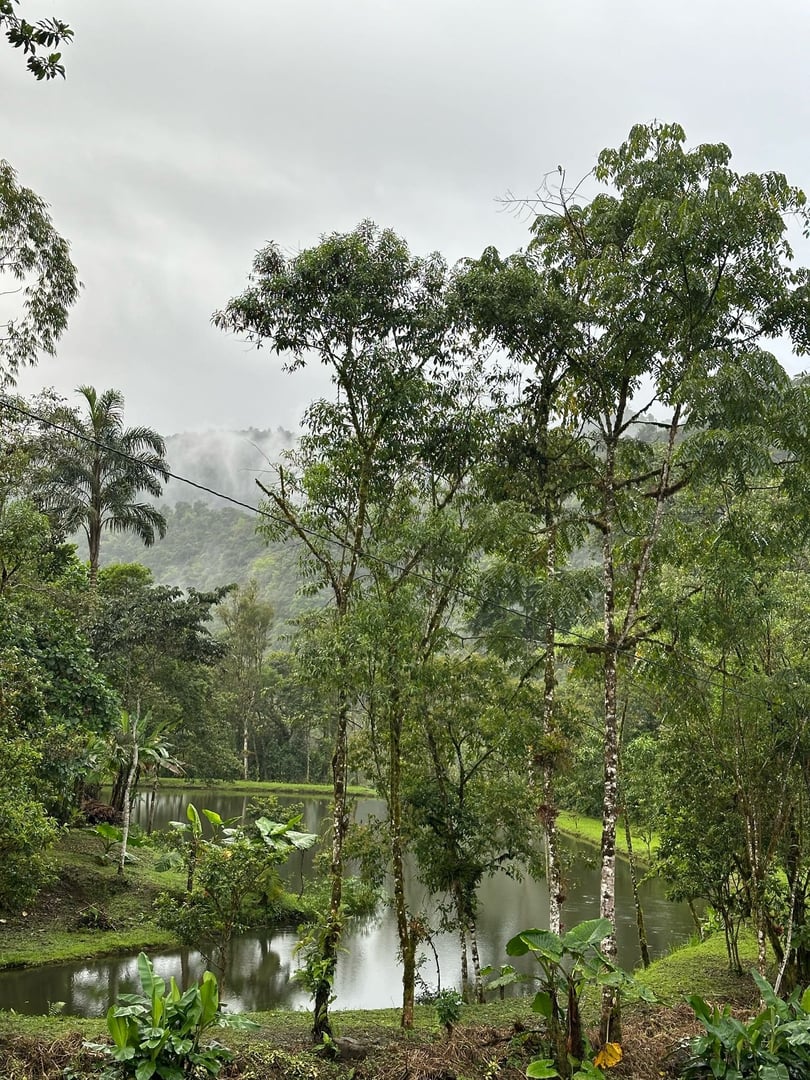 3 jours – San Pedro et Ayahuasca – Voyage du week-end