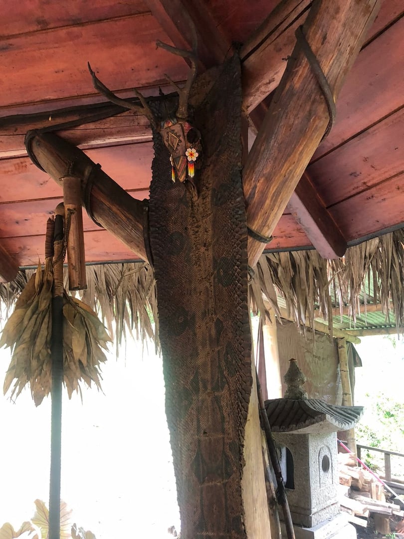 Cérémonie d'Ayahuasca à la Réserve Naturelle Hayulima – 11 juillet 2026