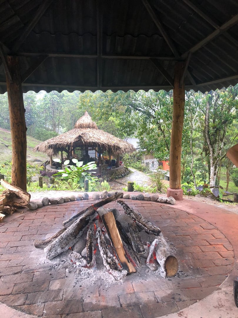 Cérémonie d'Ayahuasca à la Réserve Naturelle Hayulima – 11 juillet 2026