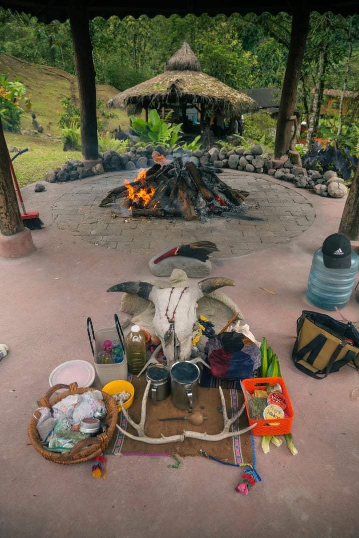 Cérémonie d'Ayahuasca à la Réserve Naturelle Hayulima – 11 juillet 2026