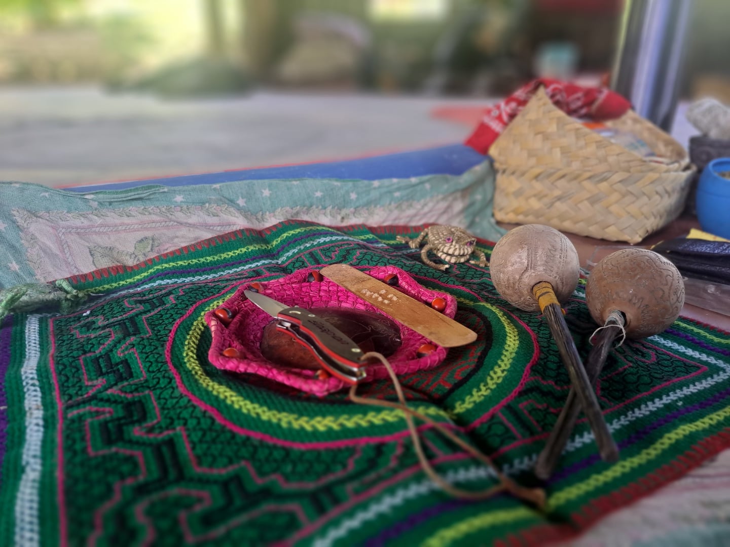 Cérémonie d'Ayahuasca à la Réserve Naturelle Hayulima – 11 juillet 2026