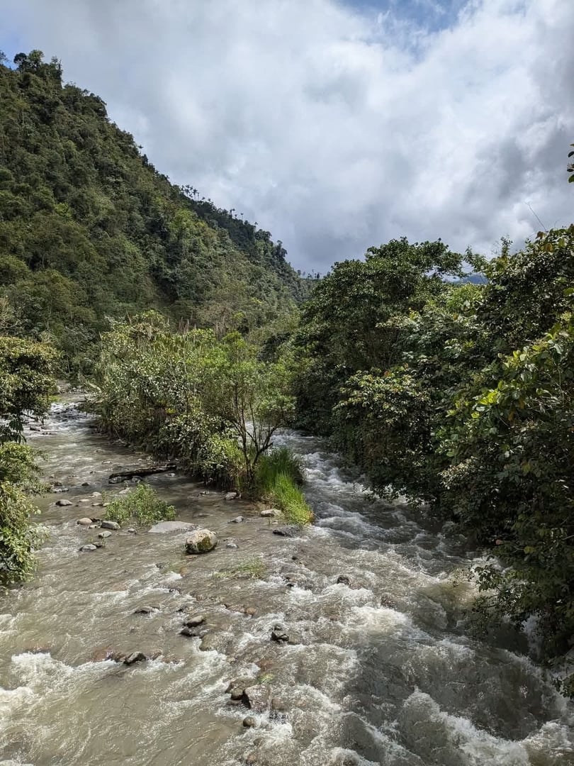 Cérémonie d'Ayahuasca à la Réserve Naturelle Hayulima – 11 juillet 2026