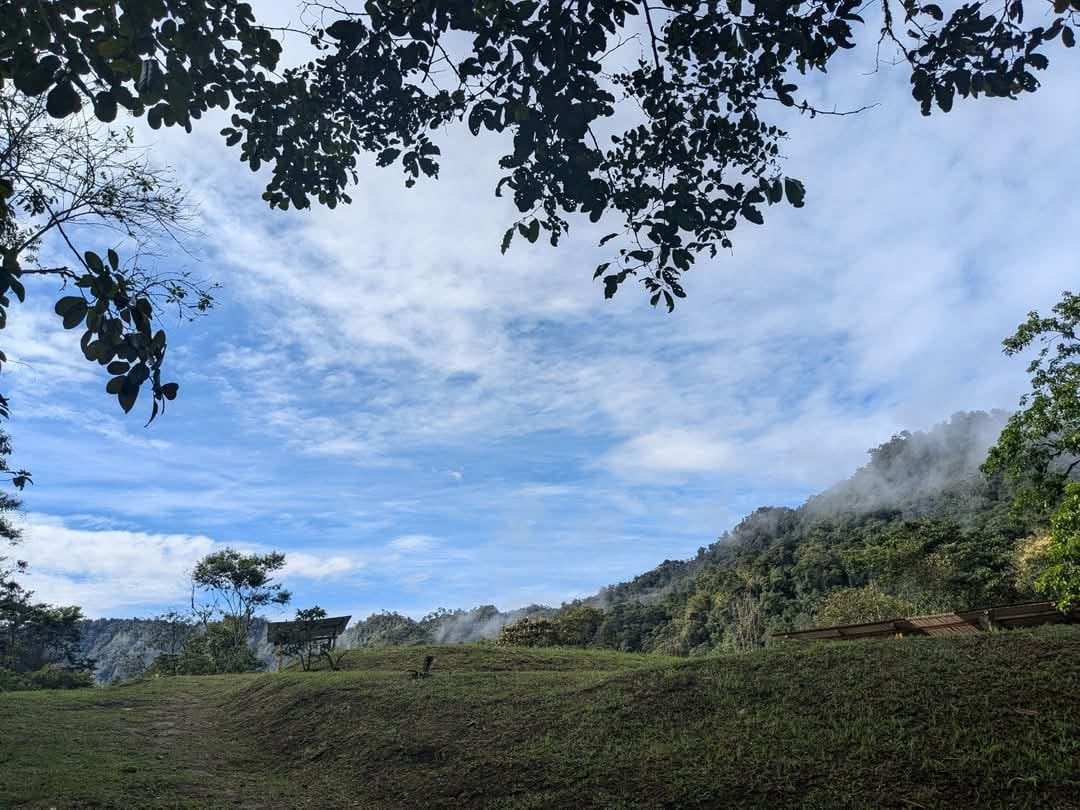 Cérémonie d'Ayahuasca à la Réserve Naturelle Hayulima – 11 juillet 2026