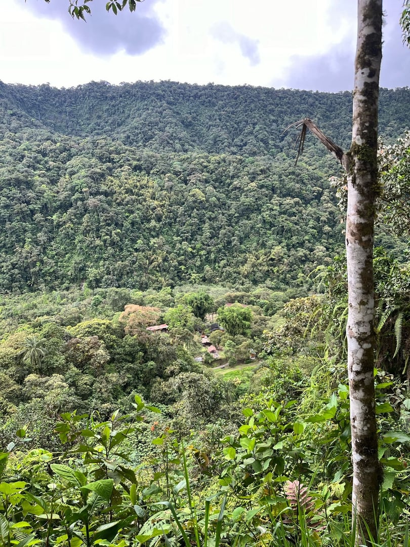 Cérémonie d'Ayahuasca à la Réserve Naturelle Hayulima – 11 juillet 2026