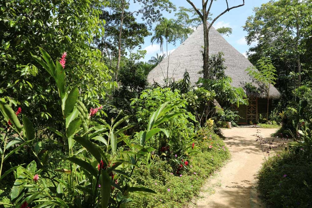 Living In Alignment : retraite de guérison à l'ayahuasca