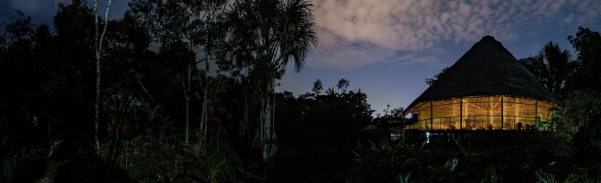 Retraite de guérison à l'ayahuasca + retraite d'intégration de 5 jours
