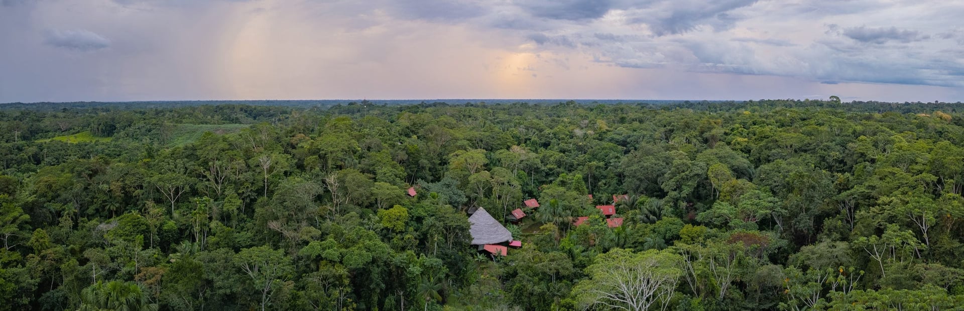 Retraite de guérison à l'ayahuasca + retraite d'intégration de 5 jours
