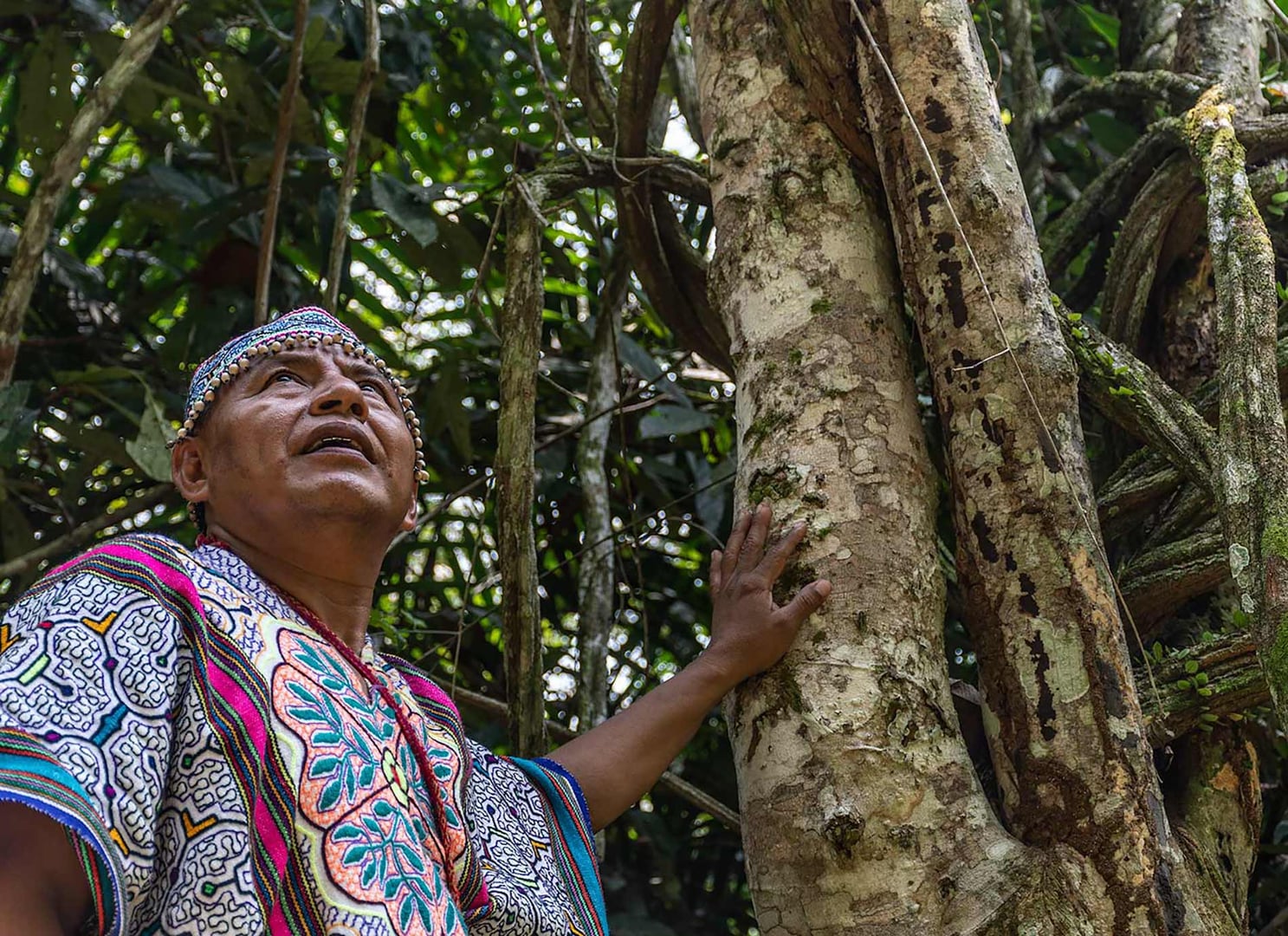 Retraite de guérison à l'ayahuasca + retraite d'intégration de 5 jours