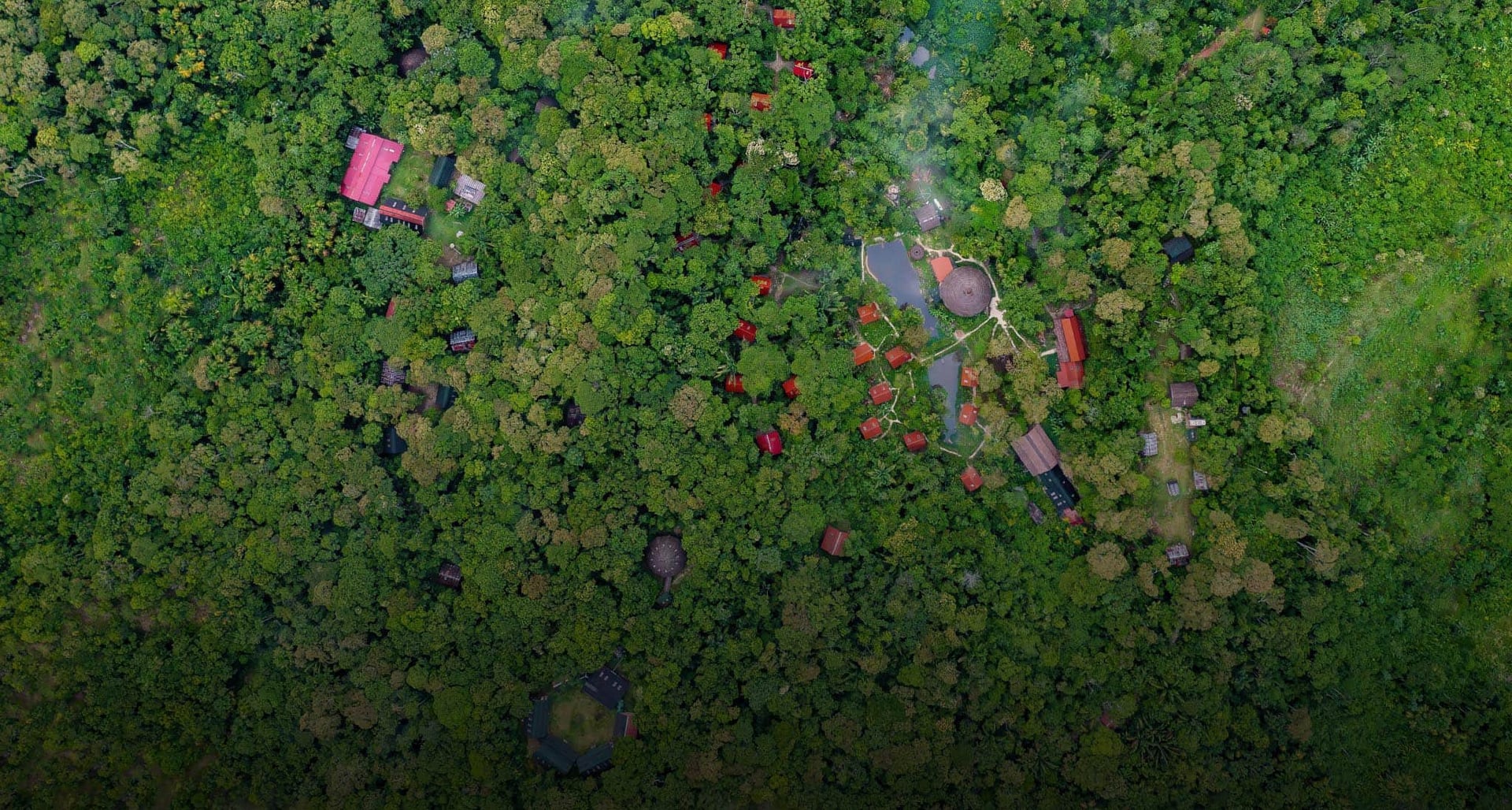 Retraite de guérison à l'ayahuasca + retraite d'intégration de 5 jours
