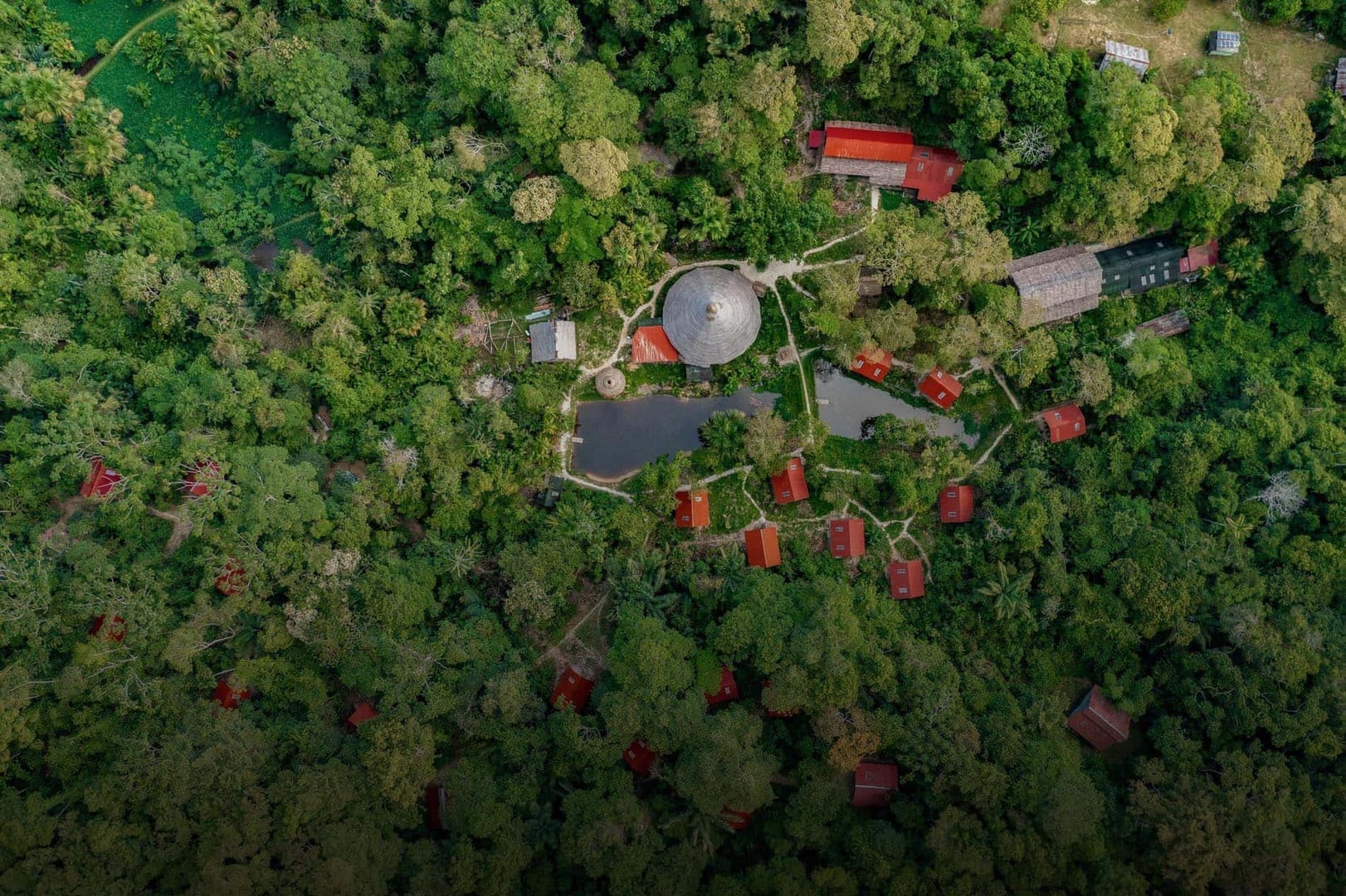 Retraite de guérison à l'ayahuasca + retraite d'intégration de 5 jours