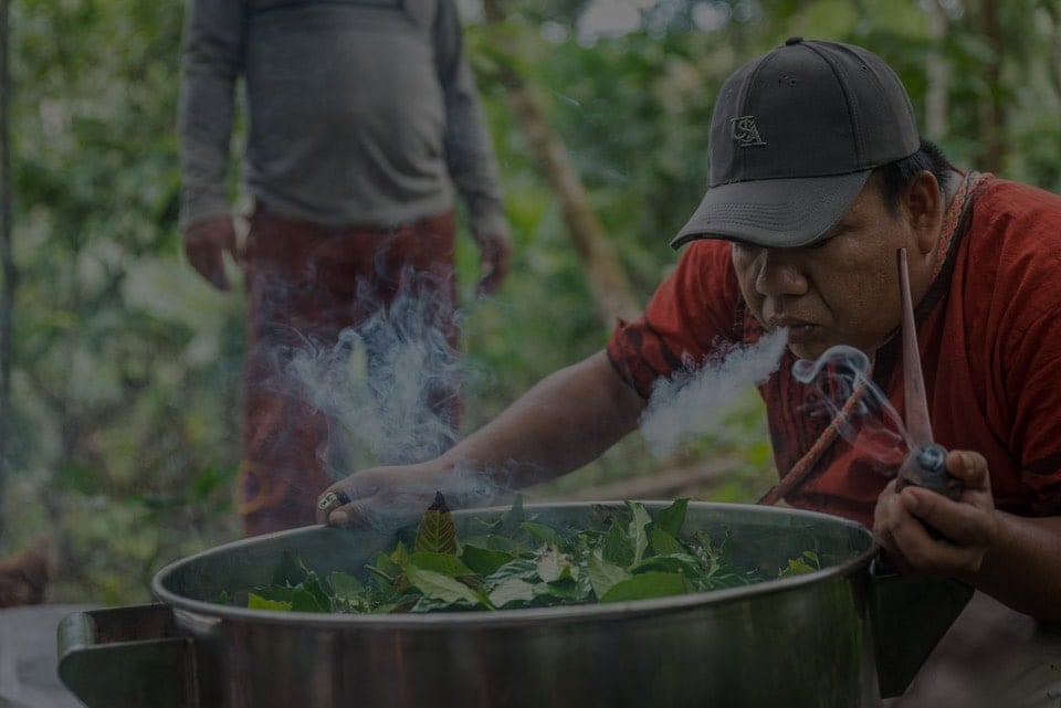 Retraite de guérison à l'ayahuasca + retraite d'intégration de 5 jours