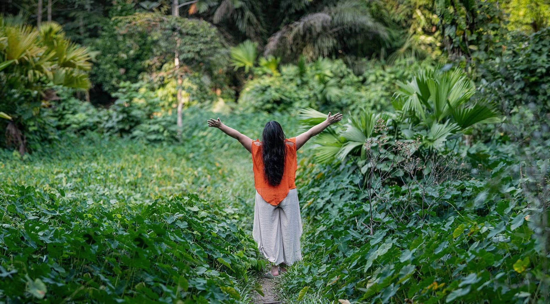 Retraite de guérison à l'ayahuasca + retraite d'intégration de 5 jours