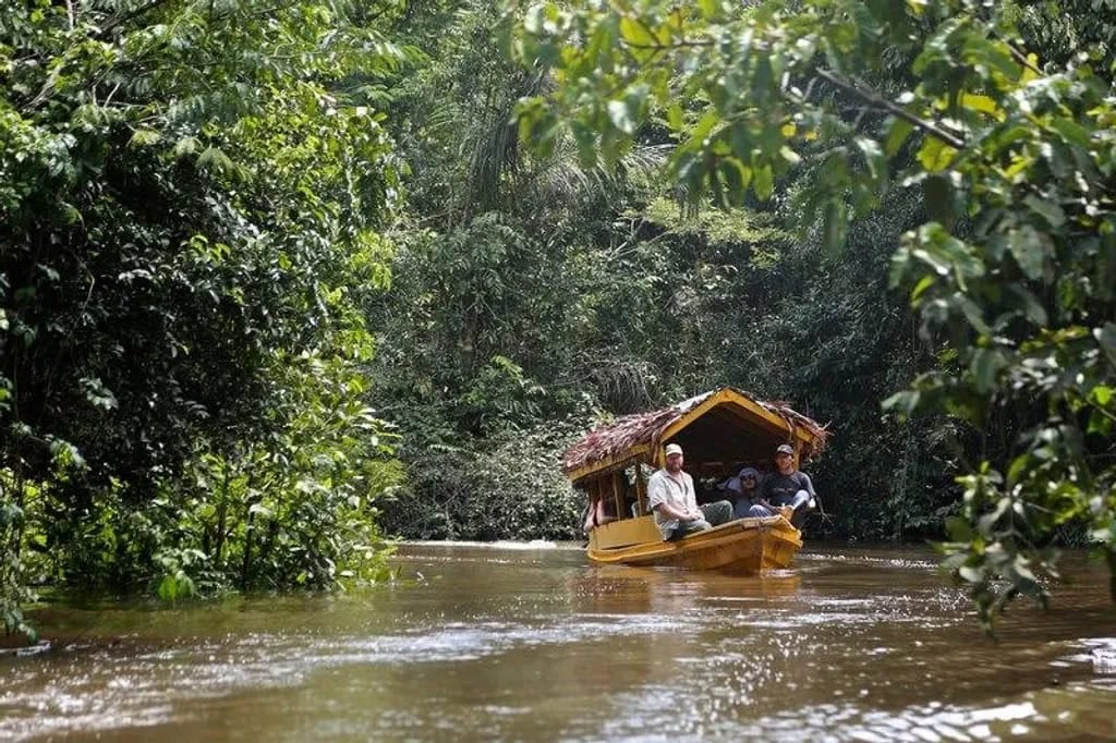 Retraite de guérison à l'ayahuasca + retraite d'intégration de 5 jours