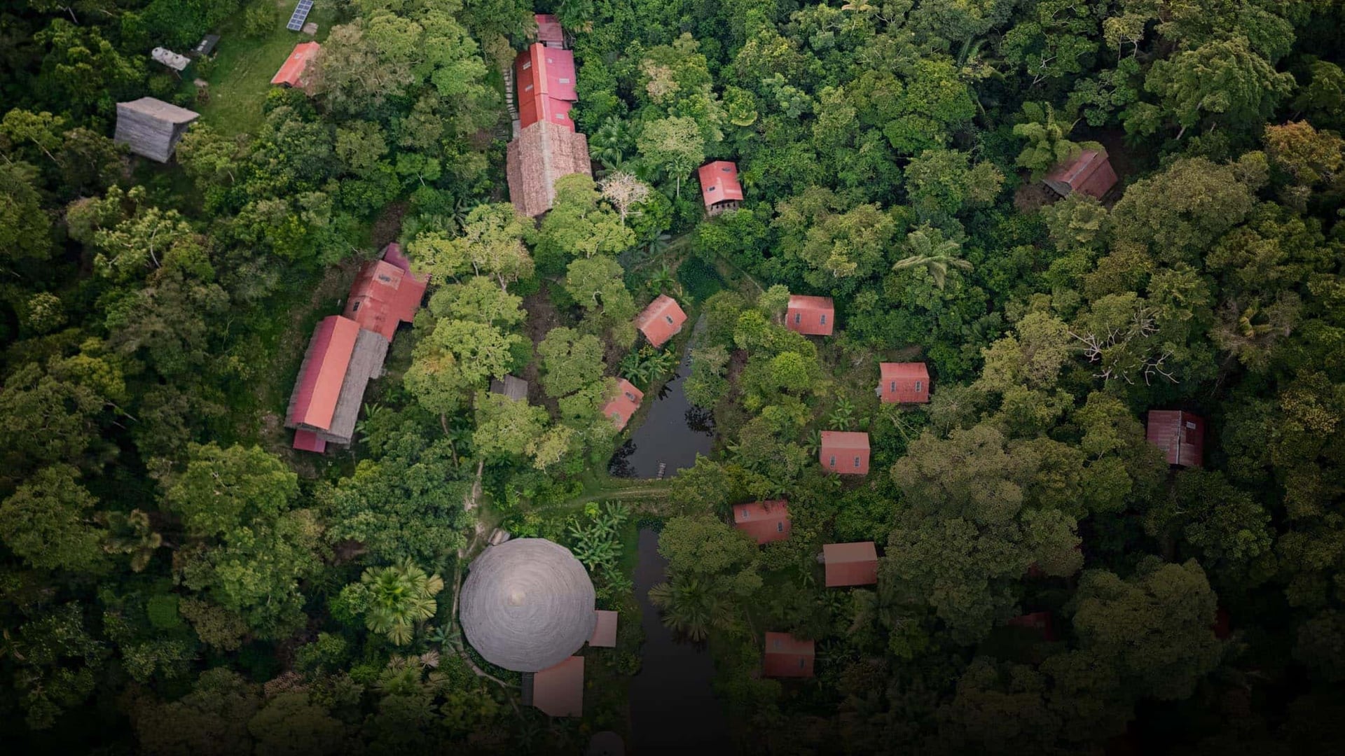 Retraite de guérison à l'ayahuasca + retraite d'intégration de 5 jours