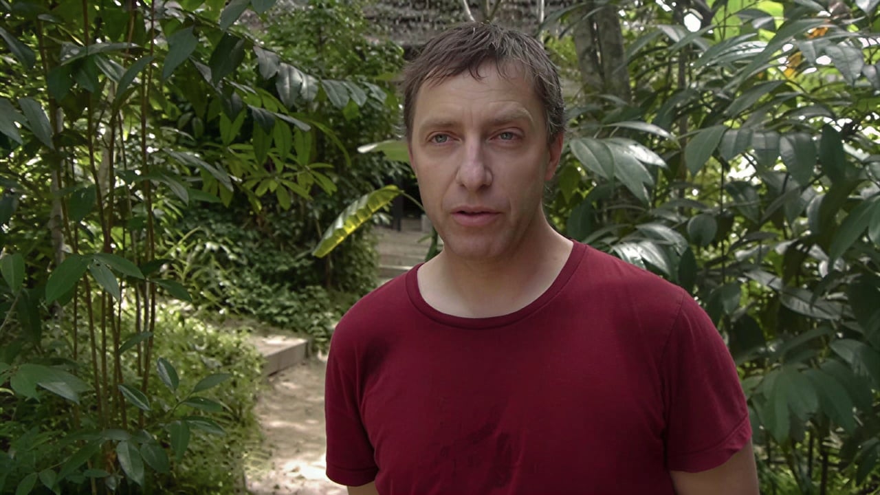 Retraite de guérison à l'ayahuasca + retraite d'intégration de 5 jours