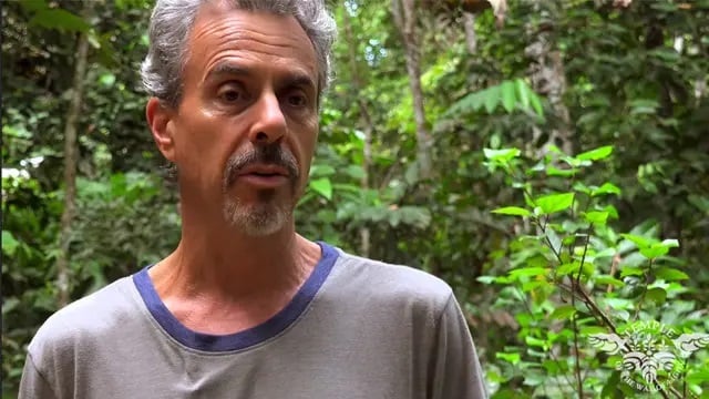 Retraite de guérison à l’ayahuasca pour femmes