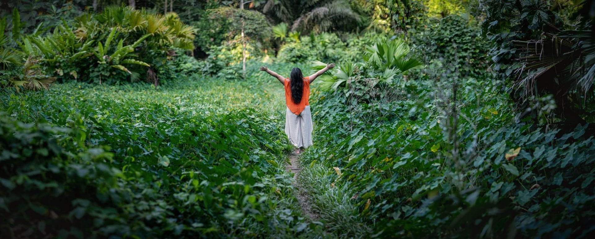 Retraite Ayahuasca 2026 pour les praticiens de santé