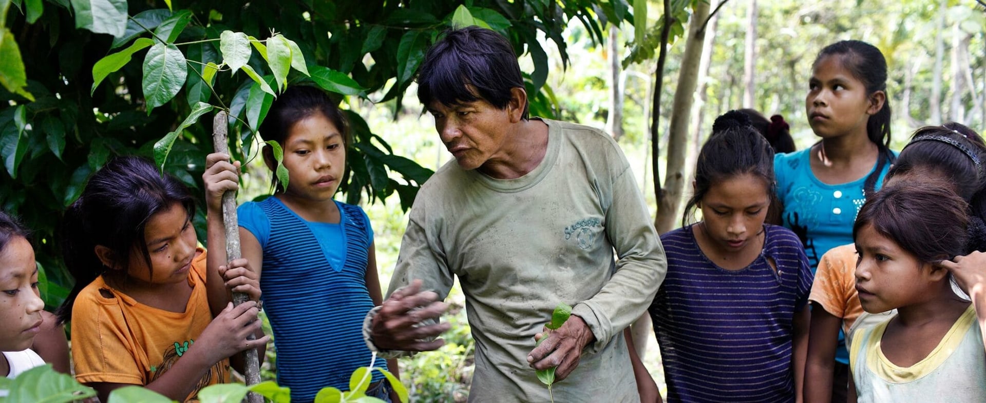 Living in Alignment Retraite de guérison à l'ayahuasca + retraite d'extension d'intégration de 5 jours