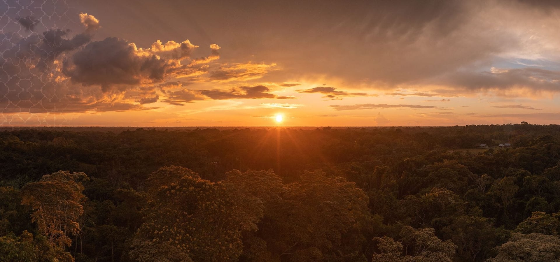 Living in Alignment Retraite de guérison à l'ayahuasca + retraite d'extension d'intégration de 5 jours