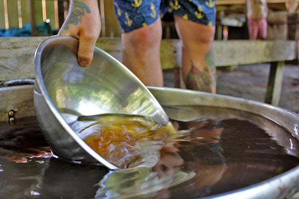 Cours de guérison et d’autonomisation à l’ayahuasca de quatre semaines
