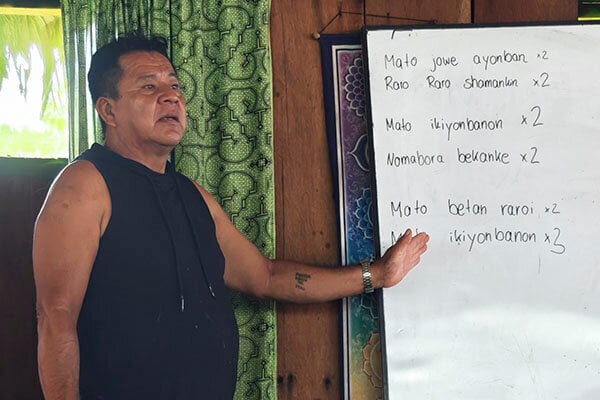Cours d’initiation à l’ayahuasca Shipibo de huit semaines au Pérou – 5 juillet - 29 août 2026