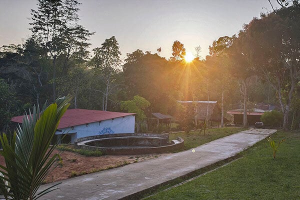 Cours d’initiation à l’ayahuasca Shipibo de huit semaines au Pérou – 5 juillet - 29 août 2026