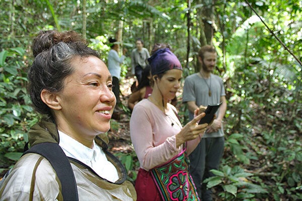 Cours d’initiation à l’ayahuasca Shipibo de huit semaines au Pérou – 5 juillet - 29 août 2026