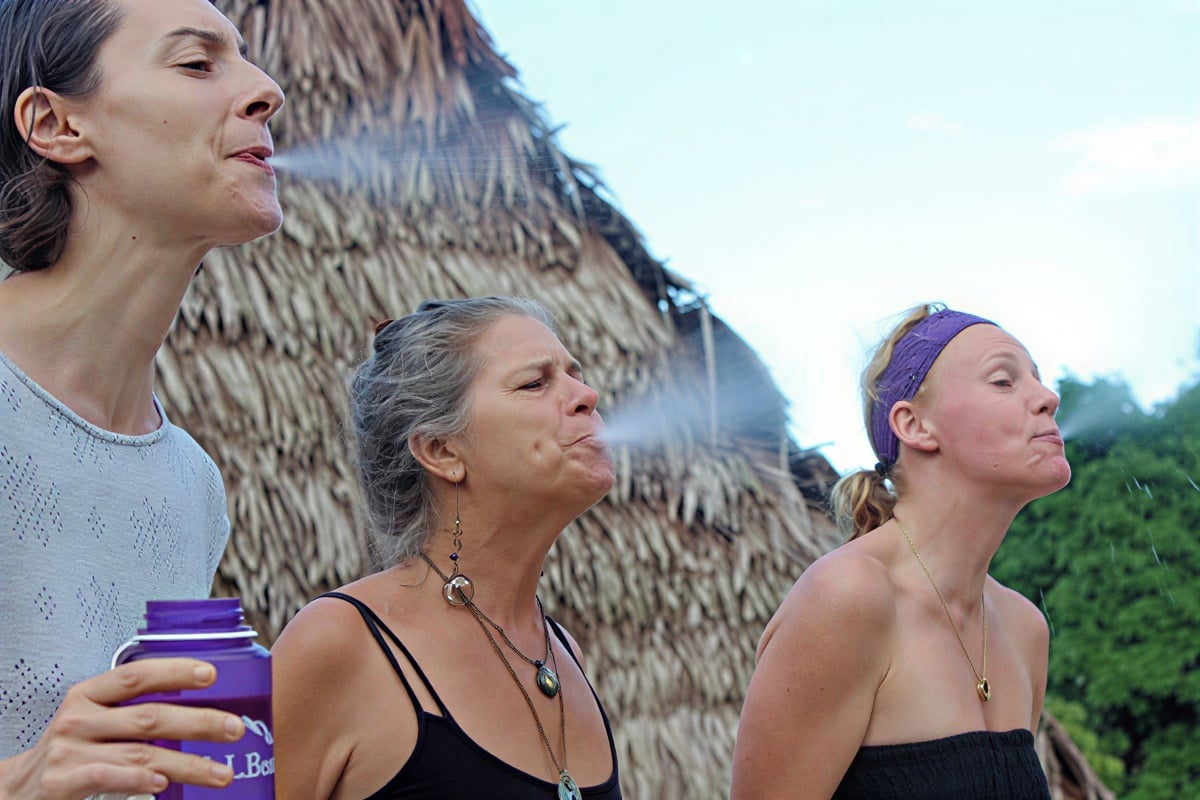 Cours d’initiation à l’ayahuasca Shipibo de huit semaines au Pérou – 5 juillet - 29 août 2026