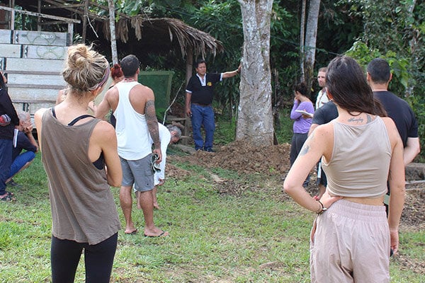 Cours d’initiation à l’ayahuasca Shipibo de huit semaines au Pérou – 5 juillet - 29 août 2026