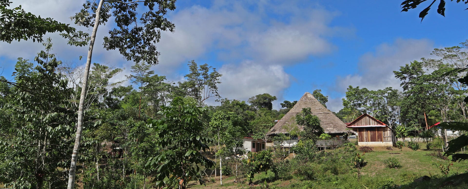 Cours d’initiation à l’ayahuasca Shipibo de huit semaines au Pérou – 5 juillet - 29 août 2026