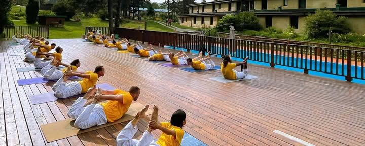 Cours de formation avancée pour professeurs de yoga (ATTC)