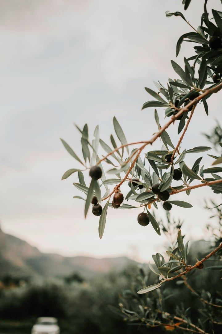 SUMMER GLOW YOGA RETRAITE July 2026 | Sicily